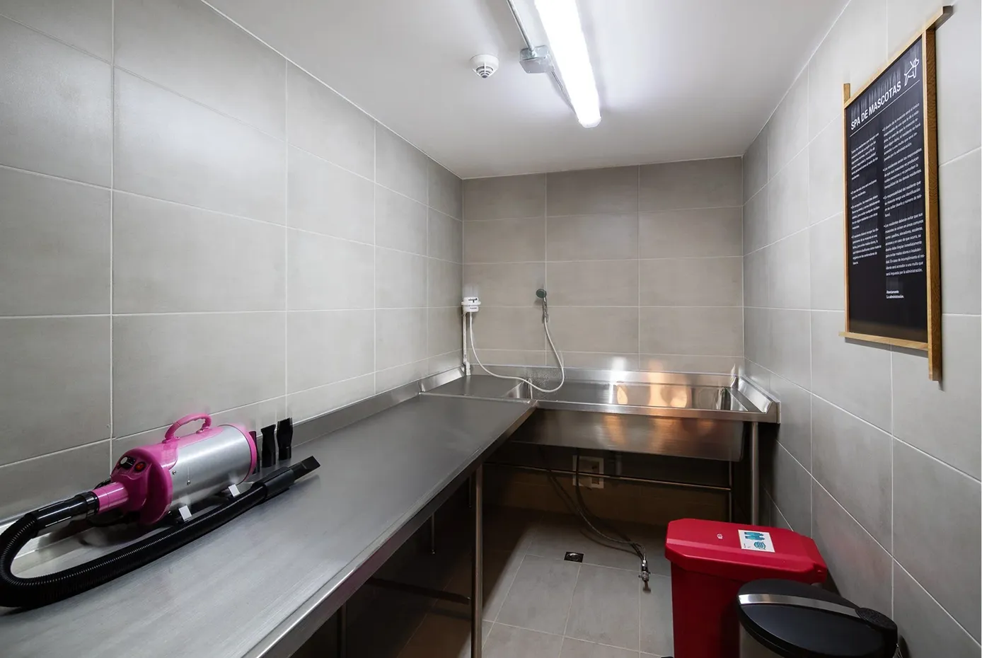 Spa de mascotas en Smart Rent 77